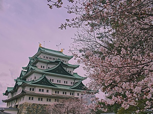 Ecole de langue japonaise à Nagoya