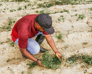“Rooted in Heritage, Growing a Sustainable Future” Promoting environmental conservation, sustainable agriculture, ecosystem restoration, and inclusive youth and gender participation.