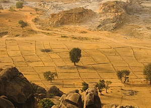 Protection and enhancement of Unesco word heritage: koutammakou ( Action for sustainability)