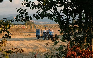 KA220-HED:GROW-EDGE: CULTIVATING ACADEMIC EXCELLENCE FOR SUSTAINABLE AGRICULTURE