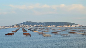 Blue Economies to The Rescue: Bridging the Gap with Career Training for Enhanced Skill Alignment & Creating More Jobs