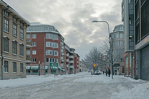 ESC: Working with young people at Fjället Youth Centre (with competence in social media and digital communication)