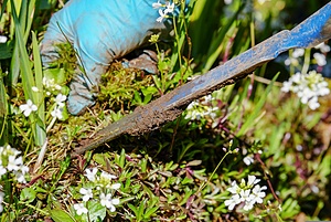 SCC-Nature Conservation
