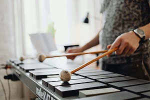 ESC: Volunteering in an support centre with adults with disabilities