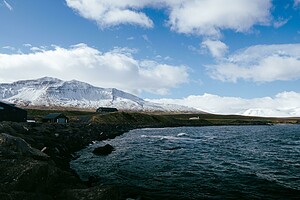 FORESTRY IN THE WEST OF ICELAND - TEAMS
